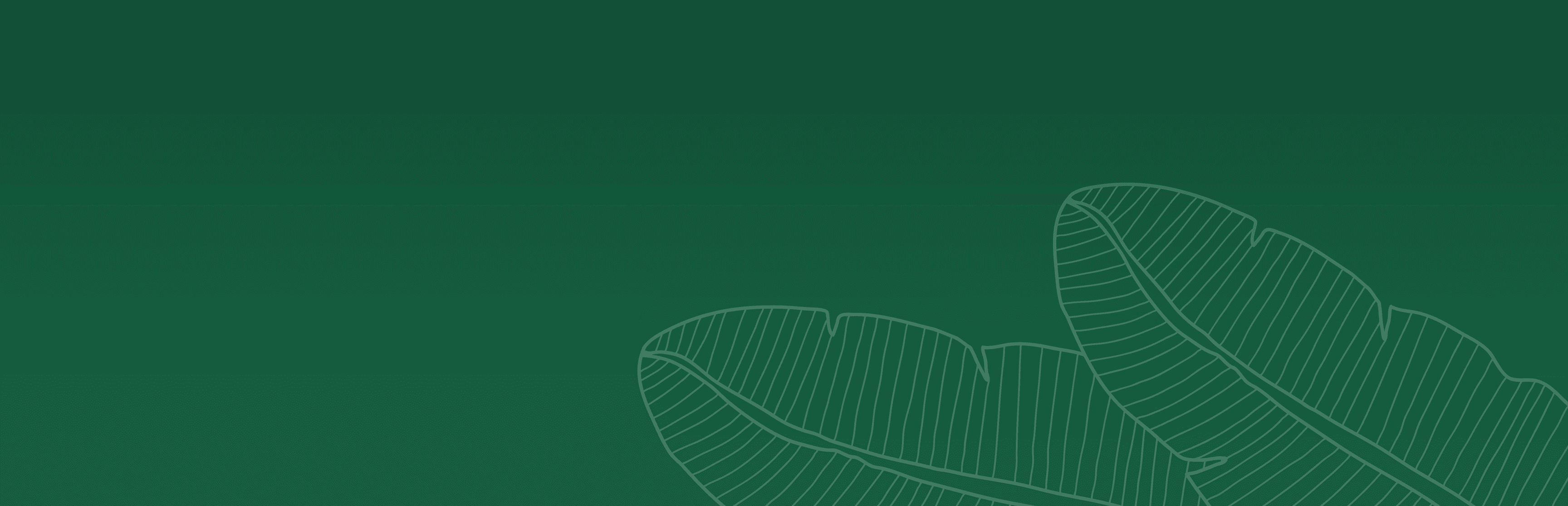 Terms Of Service Background